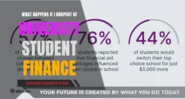 Financial Consequences of Dropping Out: Navigating University's Impact