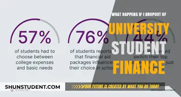 University Dropout: Student Finance Consequences