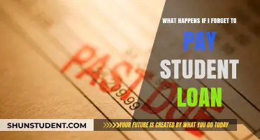 Student Loan Payment Amnesia: What's the Worst That Could Happen?