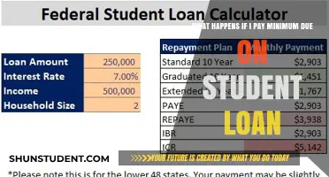 Student Loan Minimum Payments: What You Need to Know