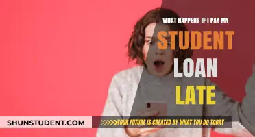 Late Student Loan Payments: What You Need to Know