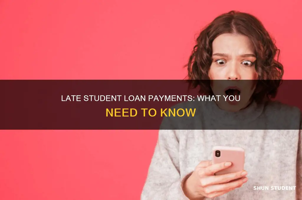 what happens if i pay my student loan late