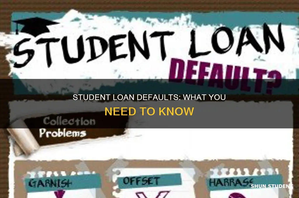 what happens if i stop paying my student loan uk