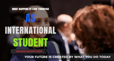 How International Students Can File Taxes with TurboTax