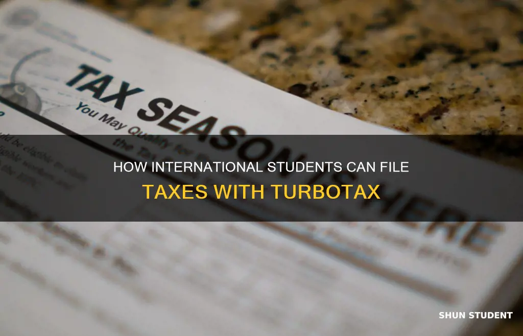 what happens if i use turbotax as international student