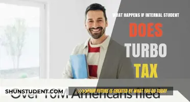 Internal Student's Turbotax: What Could Go Wrong?