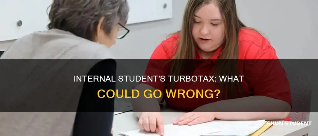 what happens if internal student does turbo tax