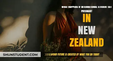 Pregnancy and International Students in New Zealand: What's the Deal?