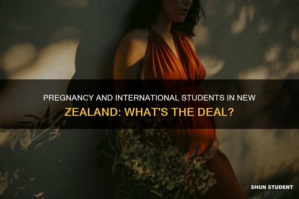 what happens if international student get pregnant in new zealand
