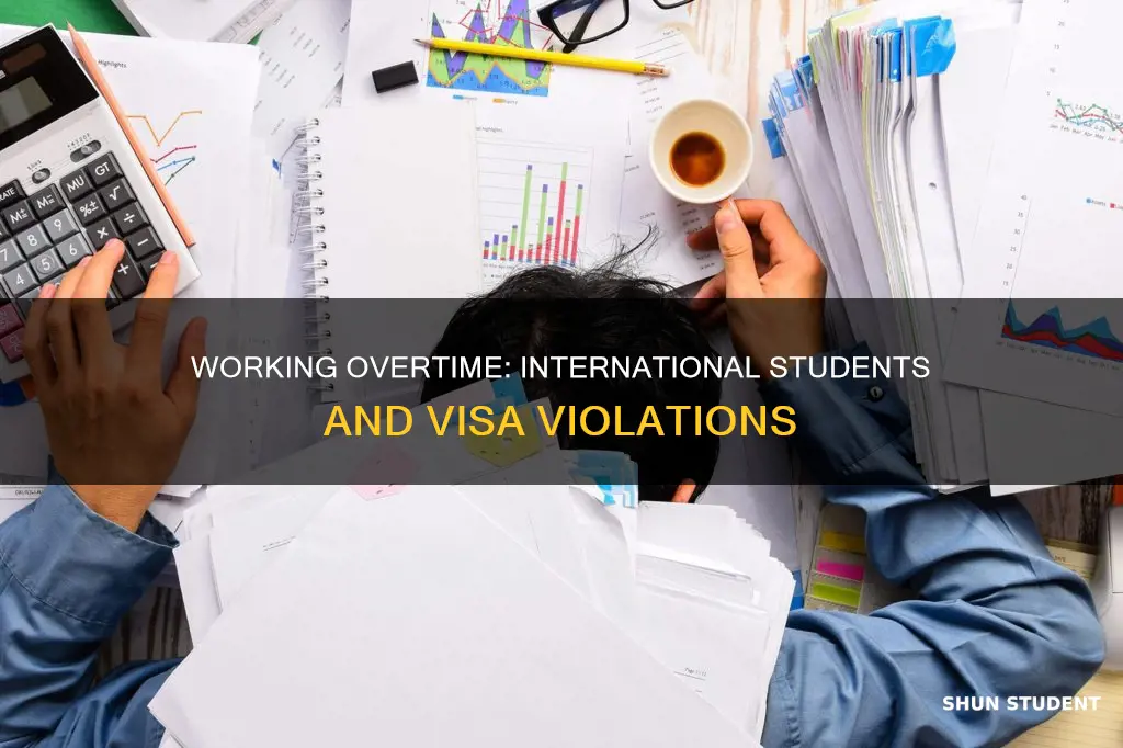 what happens if international student works more than 20 hours