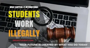 Consequences of International Students Working Illegally