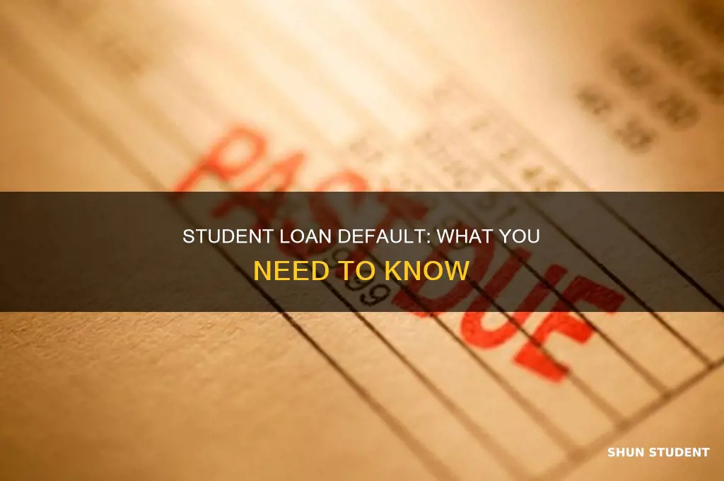 what happens if never pay student loans