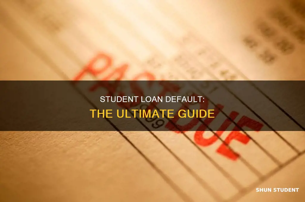 what happens if never pay student since 2003loans