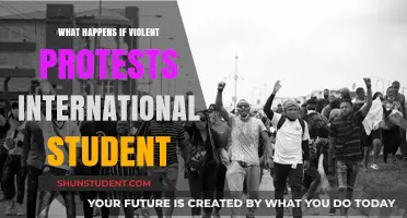 Impact of Violent Protests on International Students