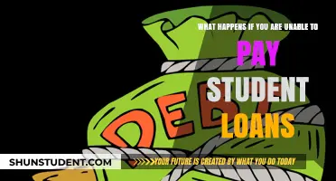 Student Loans: Default, Consequences, and Solutions