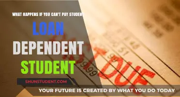 Student Loan Default: Understanding the Consequences and Options