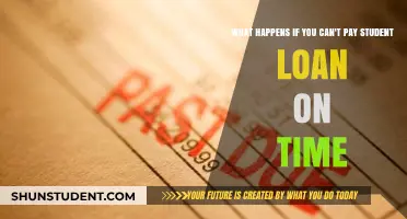 Student Loan Payment Default: What You Need to Know