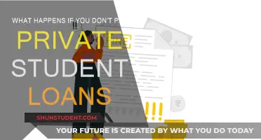 Consequences of Defaulting on Private Student Loans