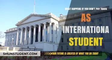 Consequences of Not Paying Taxes as an International Student