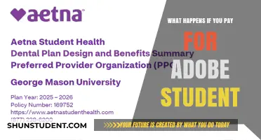 Student Discounts: Adobe's Student Plan Benefits and Drawbacks