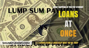 Student Loan Payment: What's the Impact of a One-Time Payment?