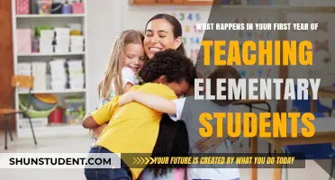 Navigating the Classroom: A Beginner’s Guide to Teaching Elementary Students