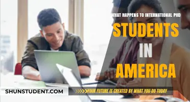 International PhD Students: Life in America