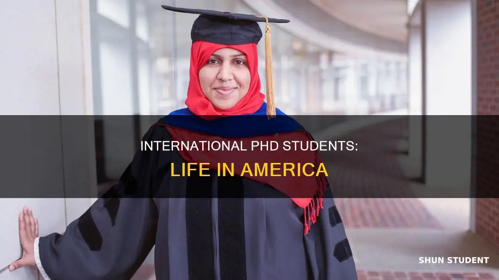 what happens to international phd students in america