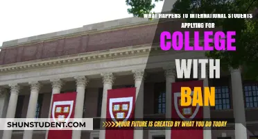 International Students: College Dreams Dashed by Visa Ban