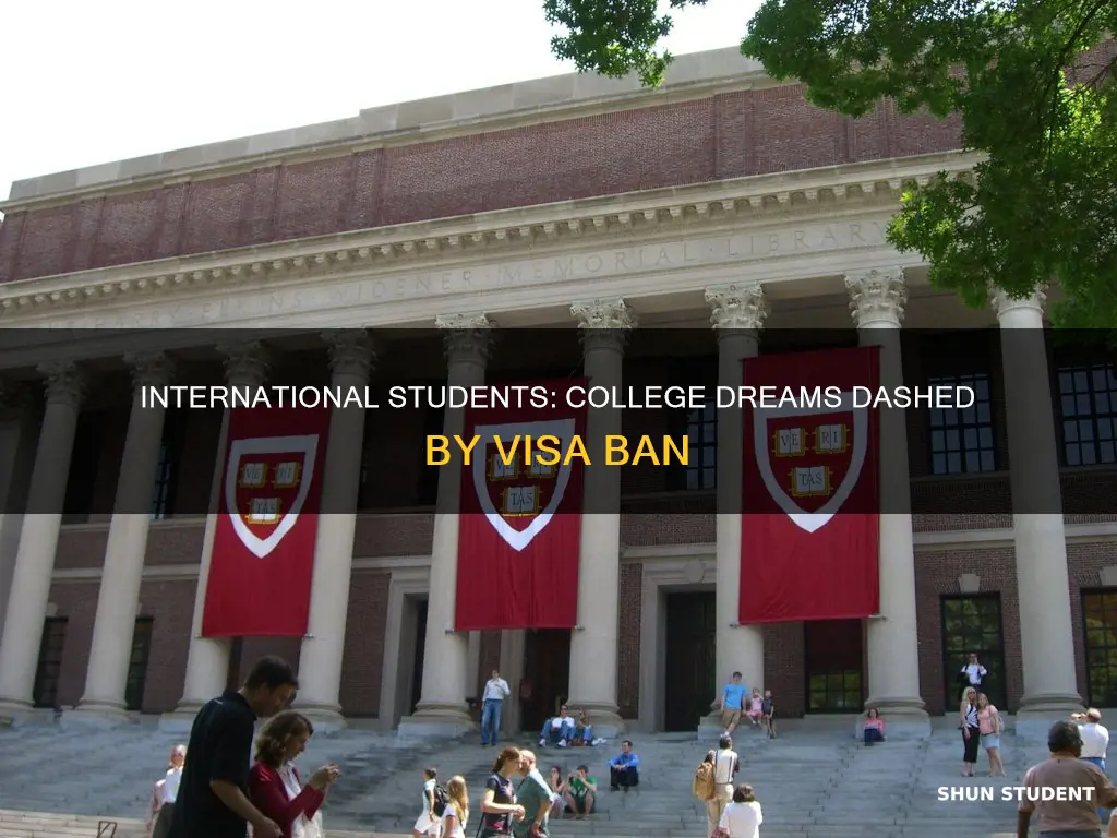 what happens to international students applying for college with ban