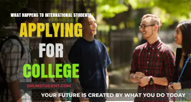 International Students: College Application Process Explained