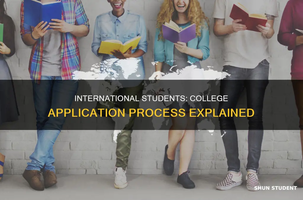 what happens to international students applying for college