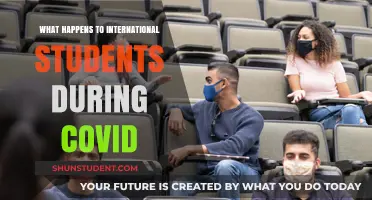 Impact of COVID on International Students