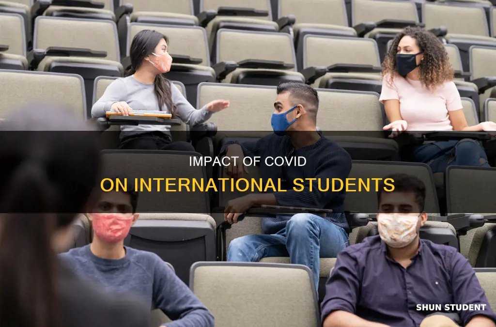 what happens to international students during covid