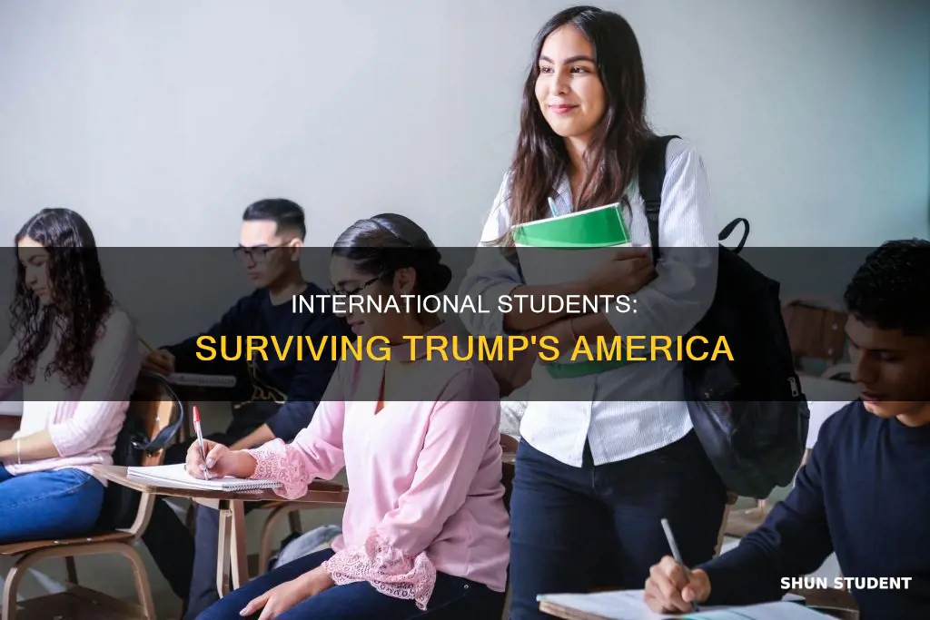 what happens to international students if trump wins