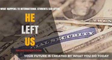 International Students: SSN Validity After US Departure