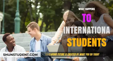 International Students: Where Do They Go?
