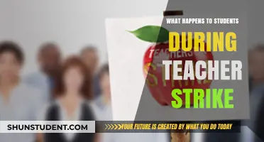 Teacher Strikes: Impact on Students' Learning, Routine, and Future Prospects