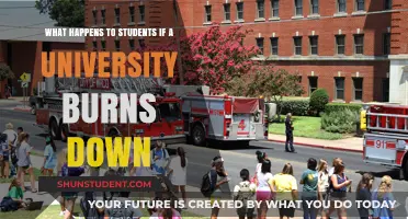 University Burns Down: What's Next for Students?