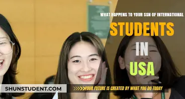 Your SSN: What International Students Need to Know
