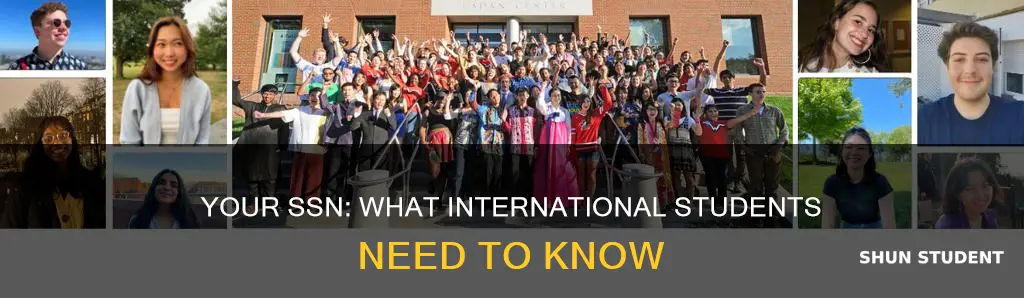 what happens to your ssn of international students in usa