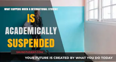 International Student Academic Suspension: What to Expect