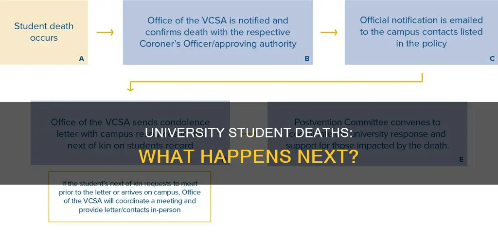 what happens when a university student dies