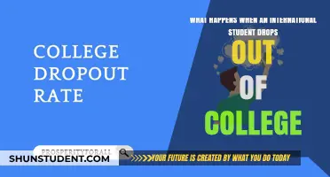 International Student Dropouts: What's Next?