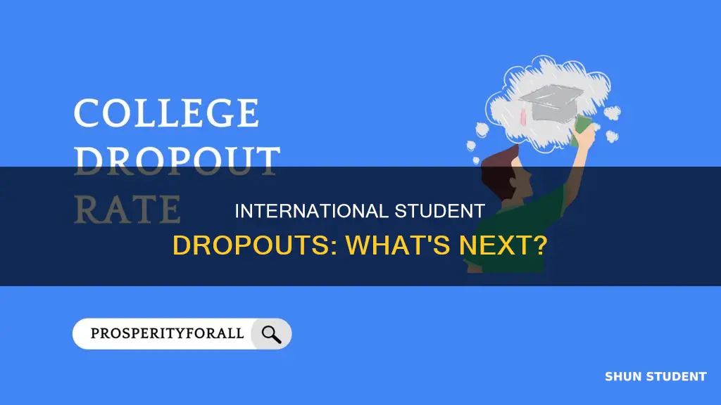 what happens when an international student drops out of college