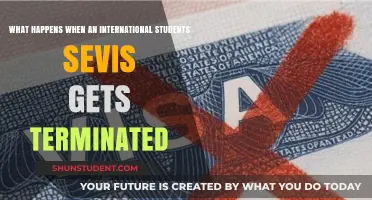 SEVIS Termination: What International Students Need to Know