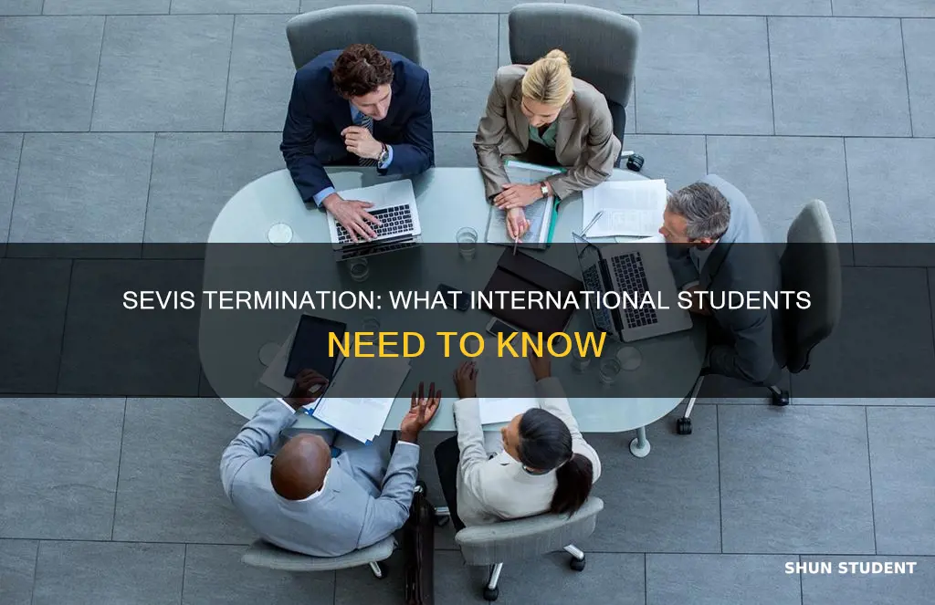 what happens when an international students sevis gets terminated