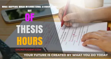 The Thesis Crunch: International Students' Hourglass Woes