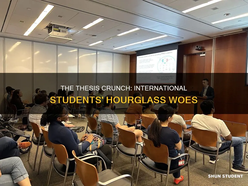 what happens when international student runs out of thesis hours