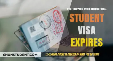 International Student Visa Expiry: What's Next?